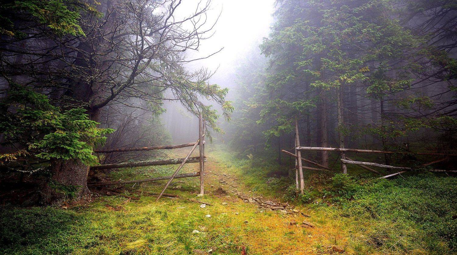 , Kantsyrenko Sergey