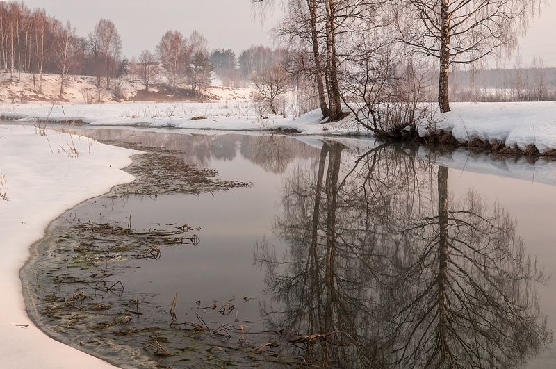 весна, река, туман Весеннее утро фото превью
