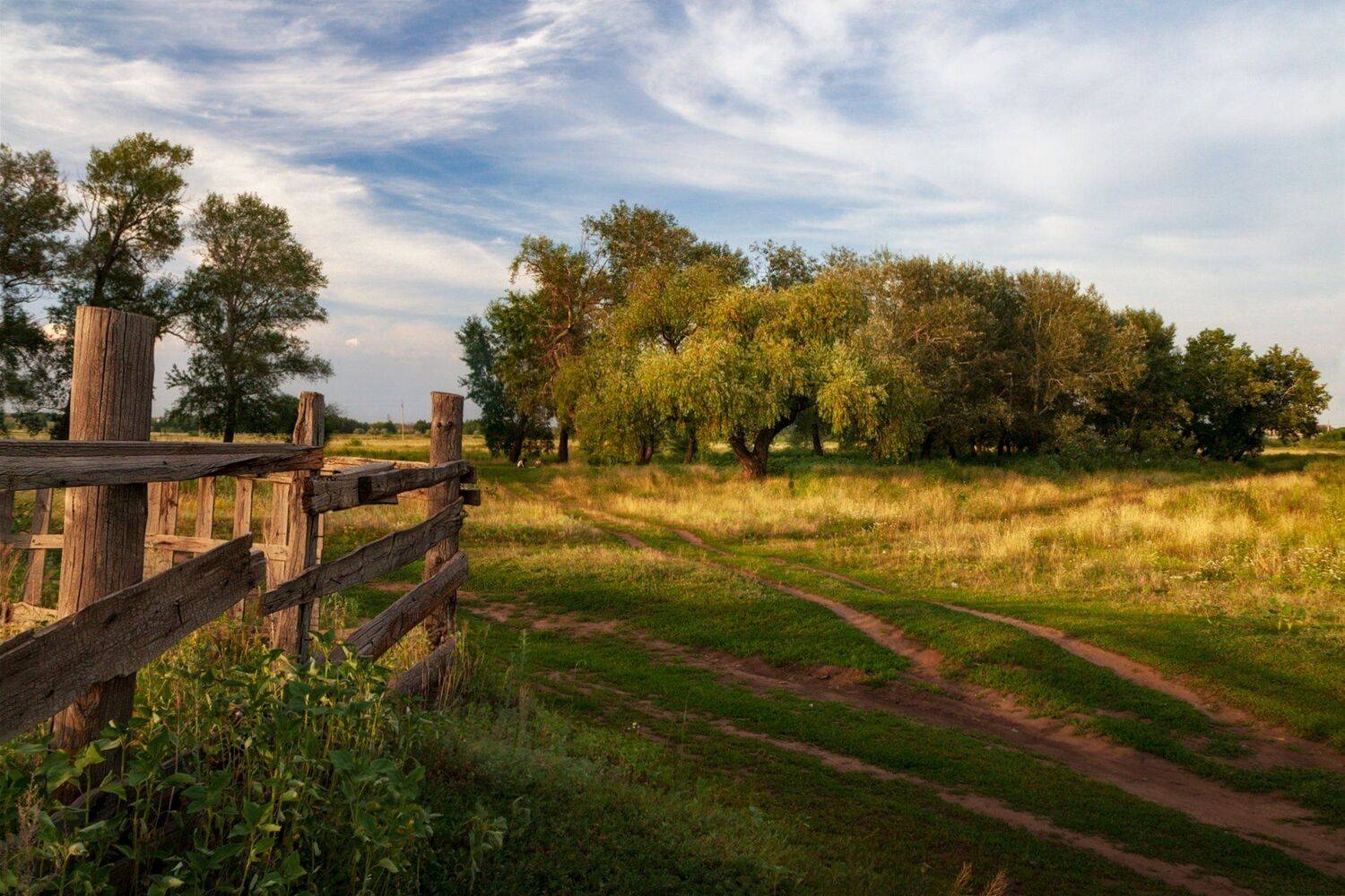 , Марат Кучкаев