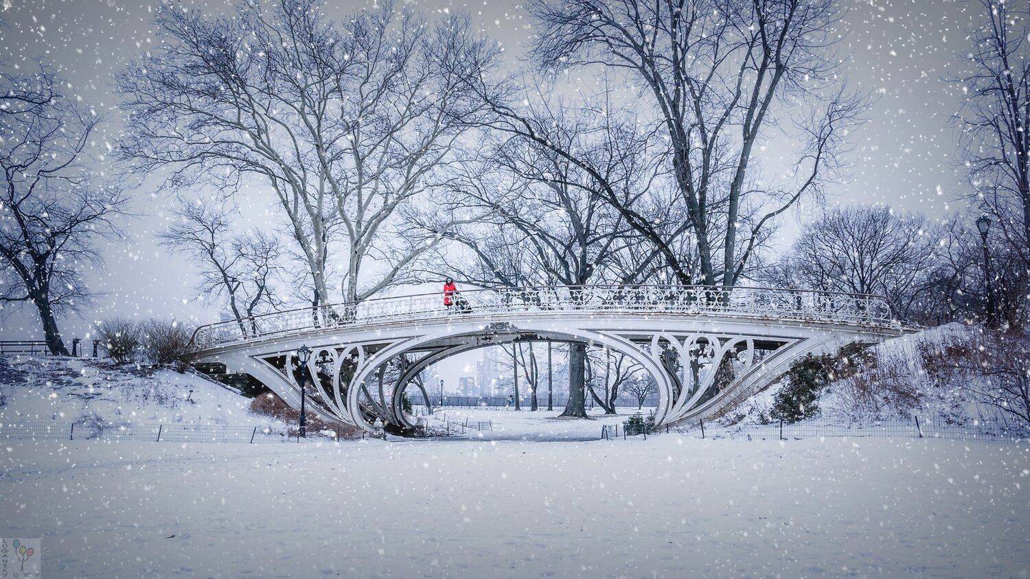 new york,, Yury Lugansky