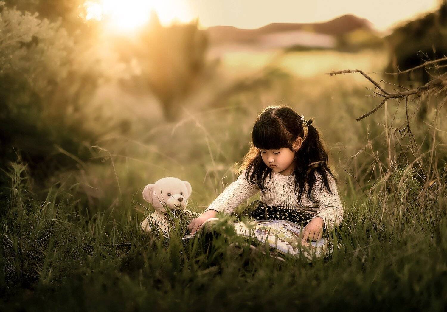 , Despird Zhang