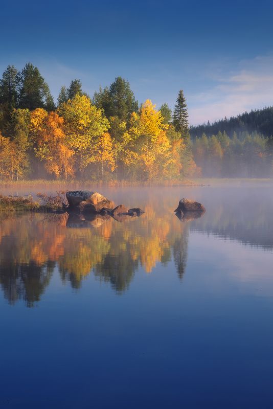 мурманская, осень Золотое на голубом фото превью