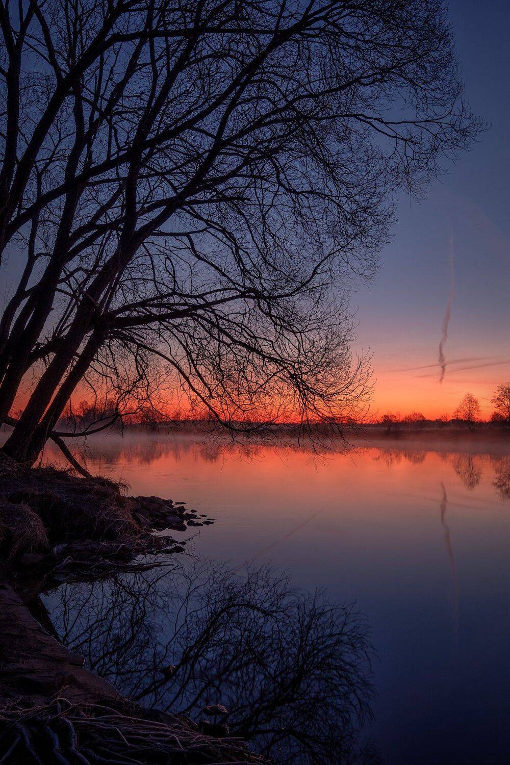 пейзаж, дубна, весна, апрель, разлив, рассвет, утро, дерево, река, туман, Андрей Чиж