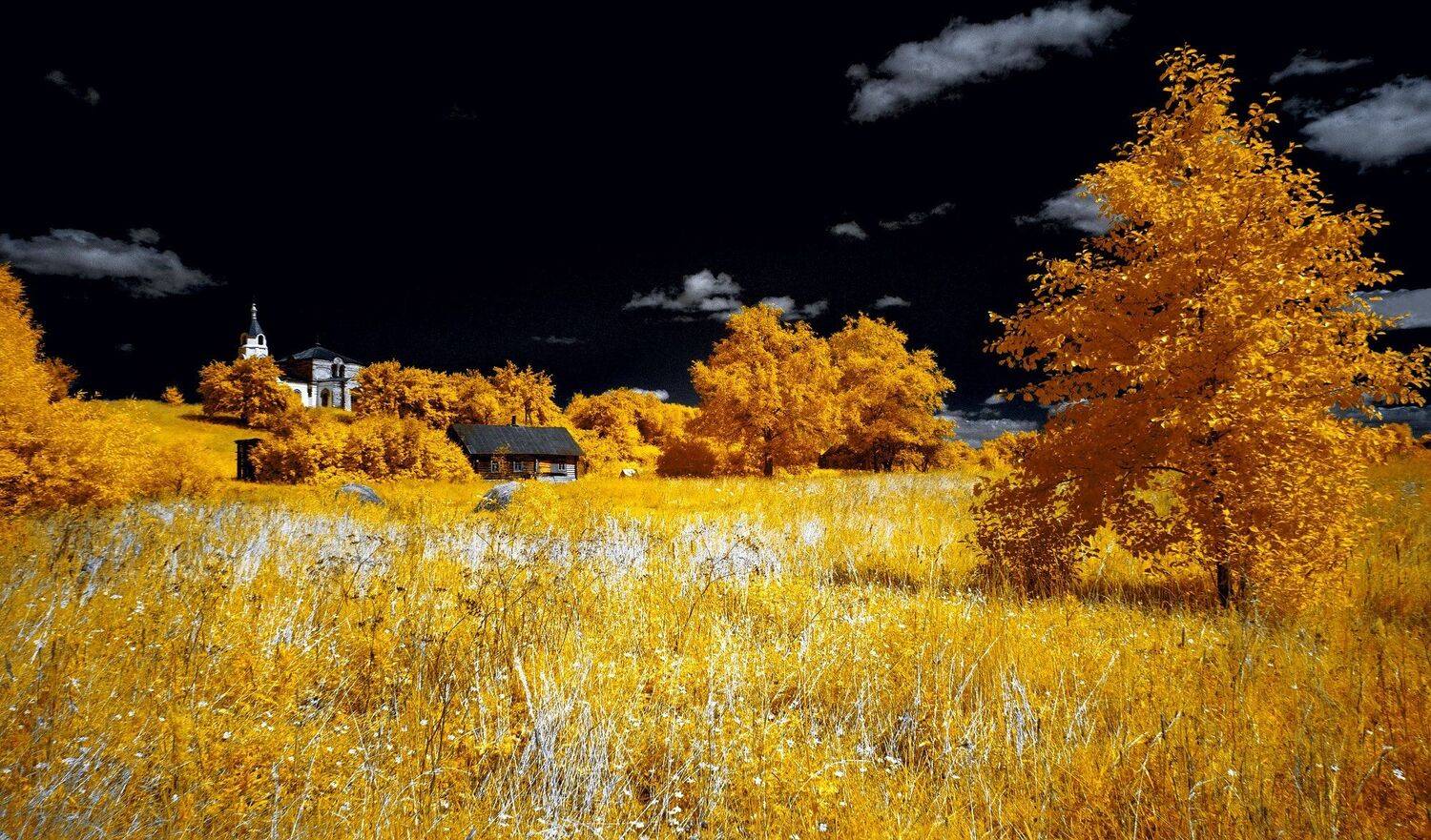 infrared,ик-фото,инфракрасное фото,инфракрасная фотография,пейзаж,природа,беларусь,лето, Sixten ( Сергей )