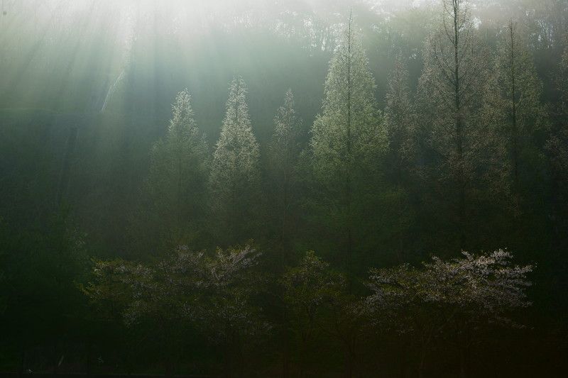Fog and light фото превью