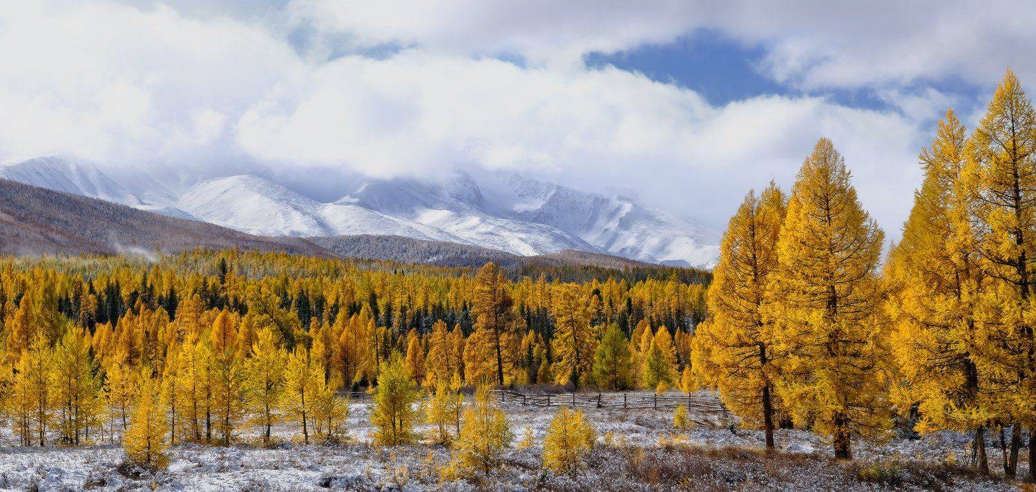 , Ольга Челдыкова