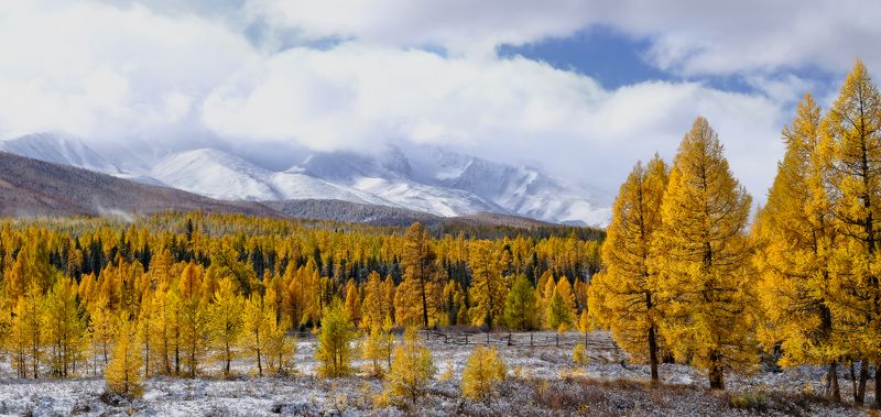 Алтайская осень фото превью