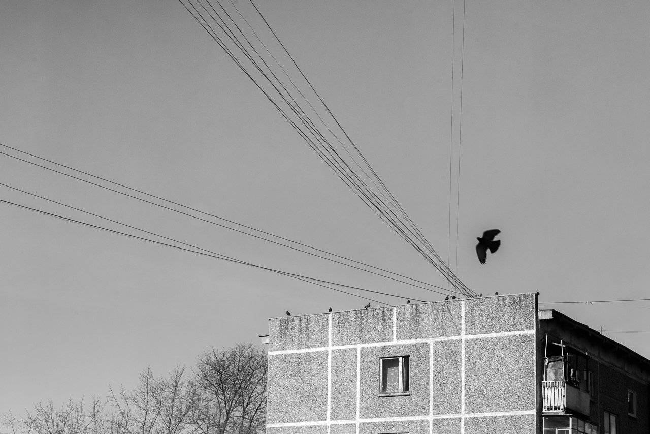 , Анисимова Ольга Леонидовна