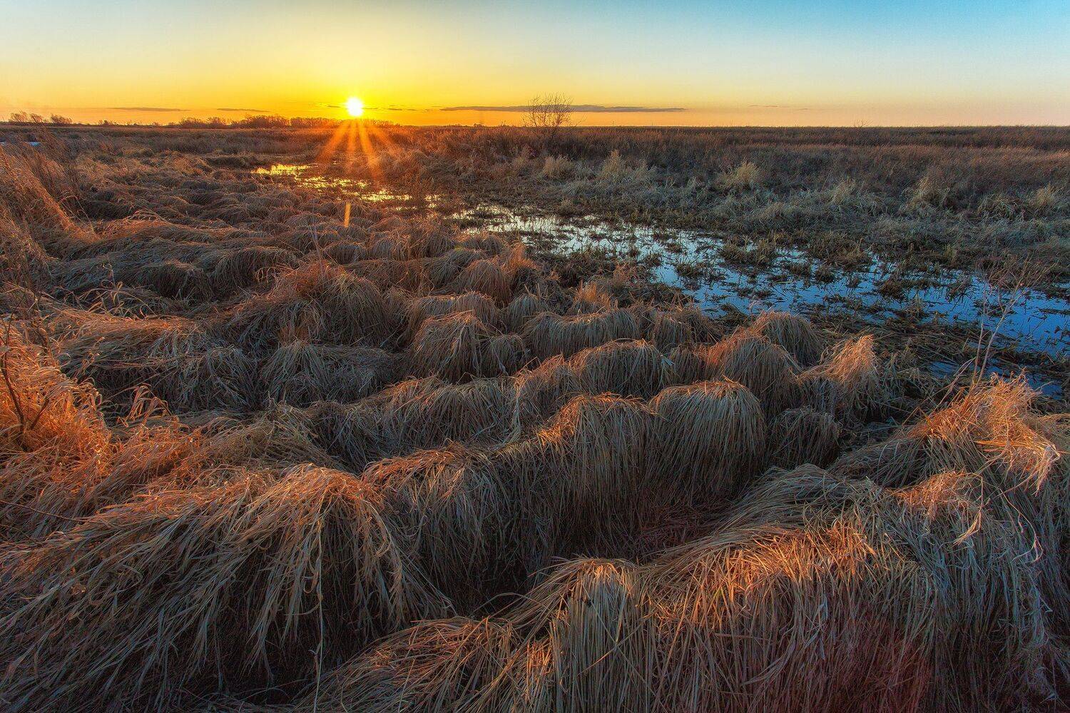, Павел Сагайдак
