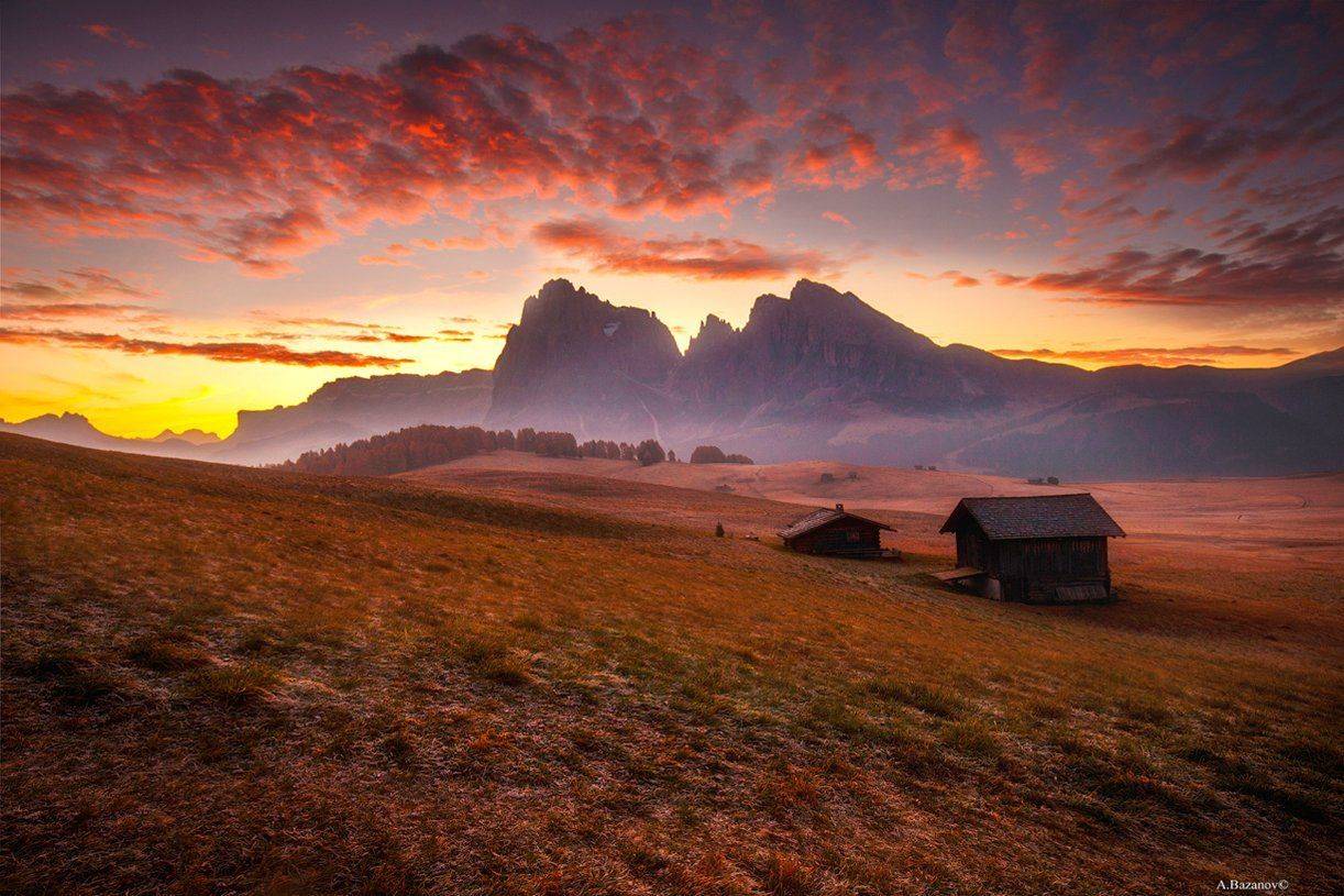 , Андрей Базанов