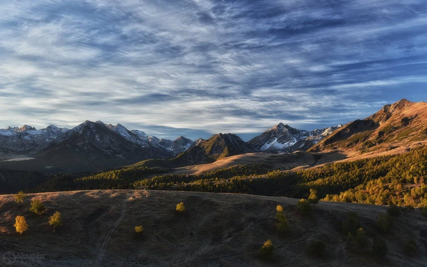 , Александр Круль