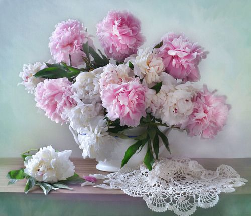 С Днём Рождения, Аллочка! (для Аллы Шевченко)