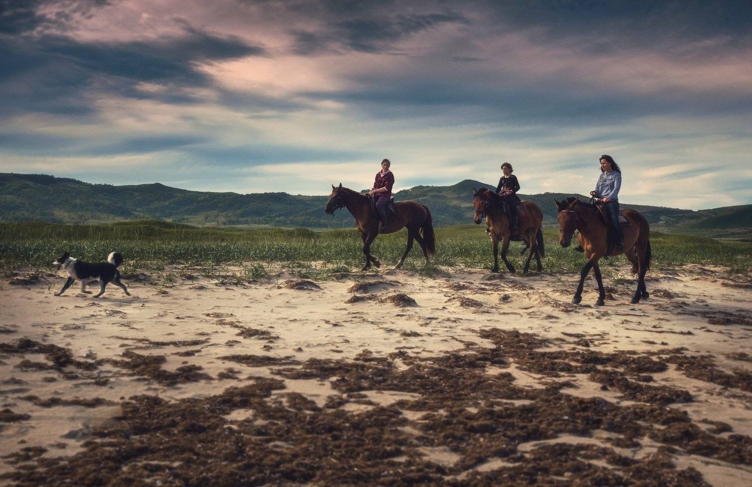 лето, кони, пляж, Андрей Кровлин