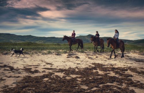 На прогулке.