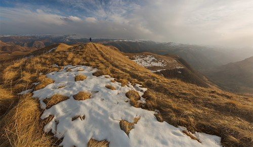 Предгорье Кавказа