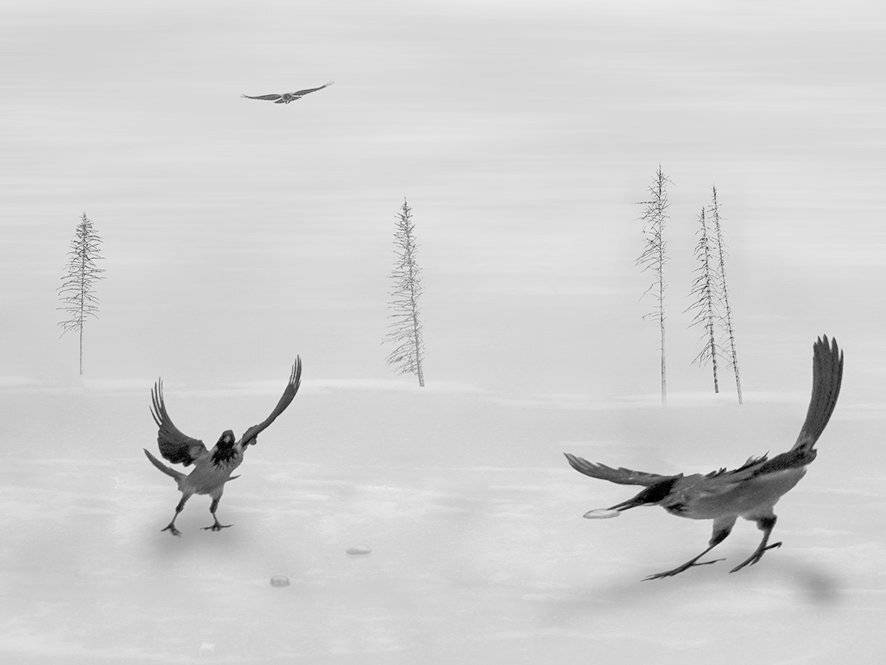 , T. Bondarenko
