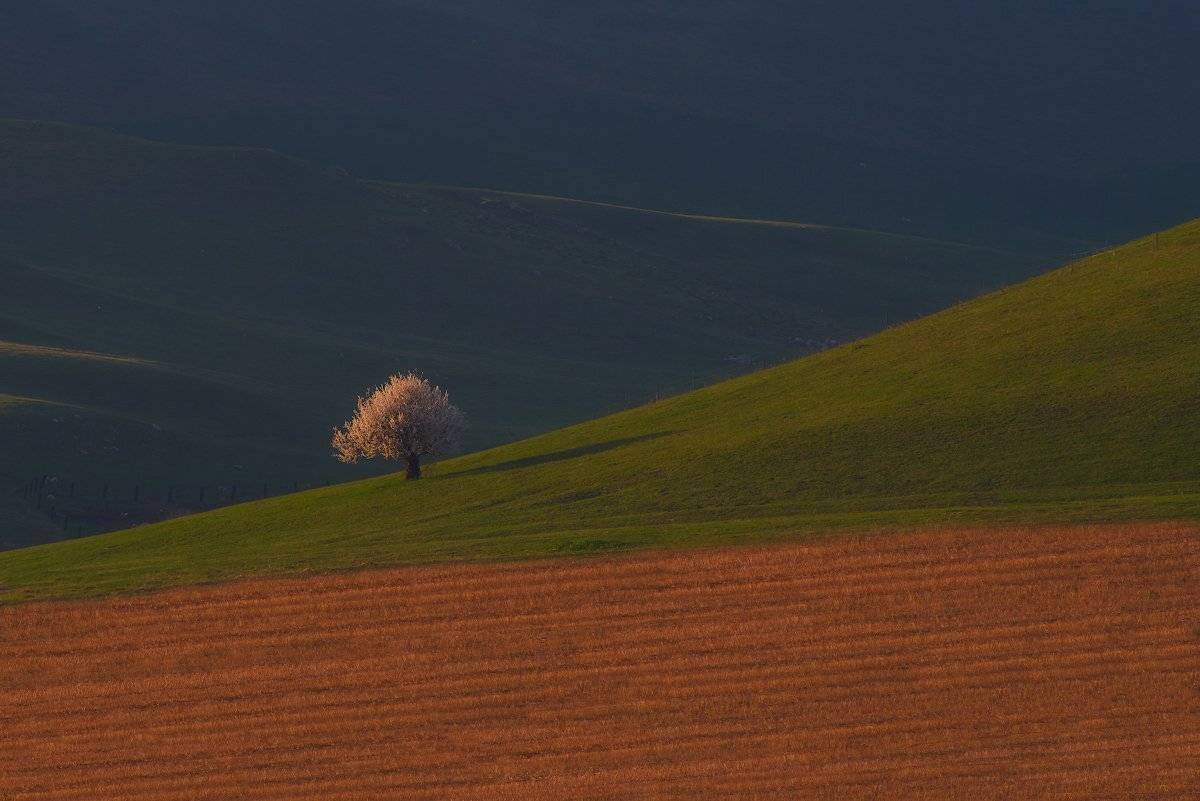 , Романский Владимир (NikonZoom)