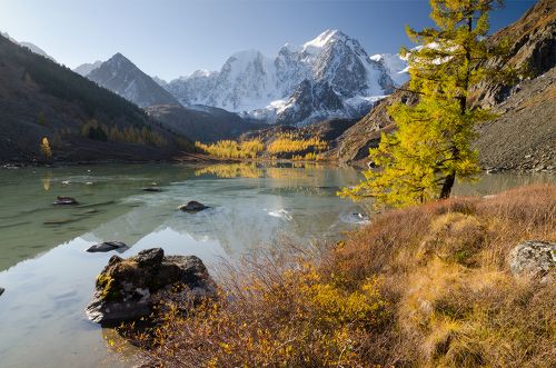 осенняя пастораль