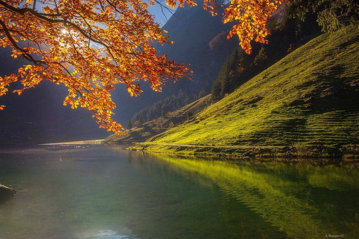 , Андрей Базанов