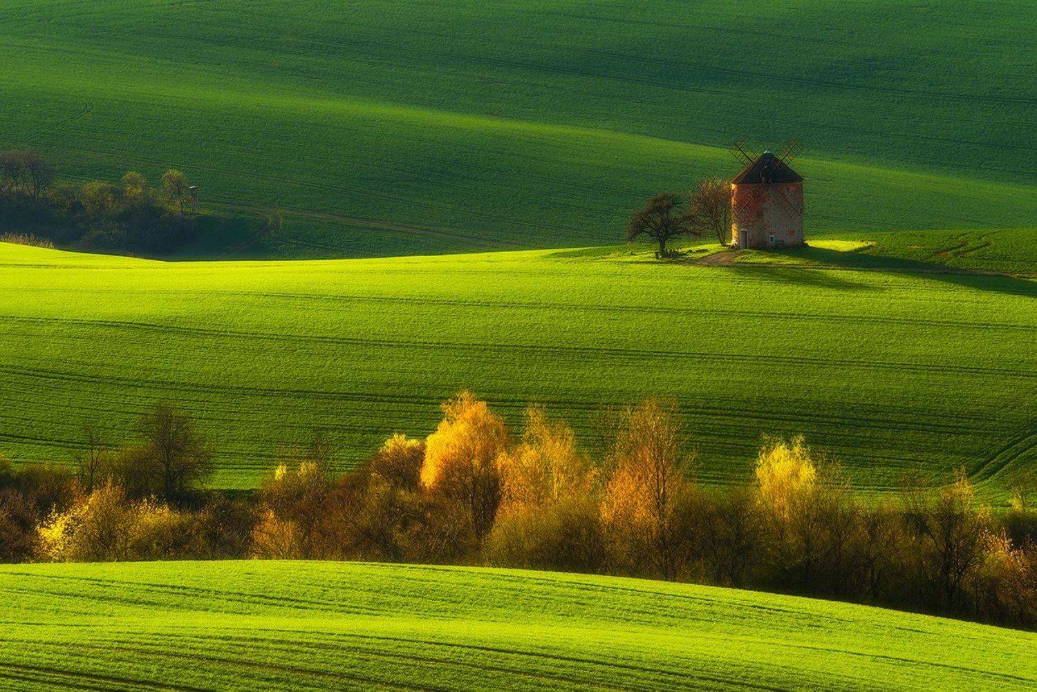 spring south moravia fields green , Robert Radomski