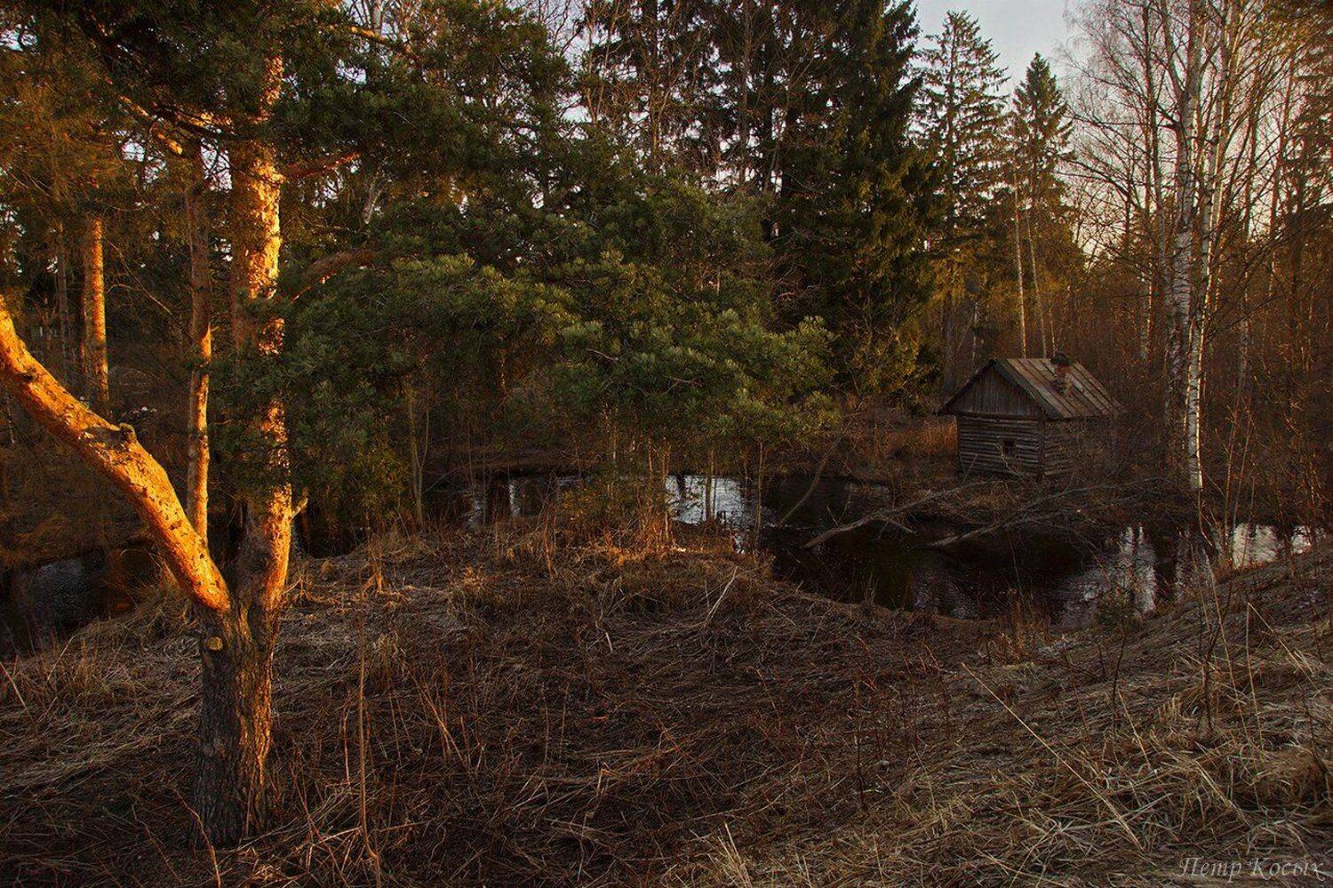 , Петр Косых