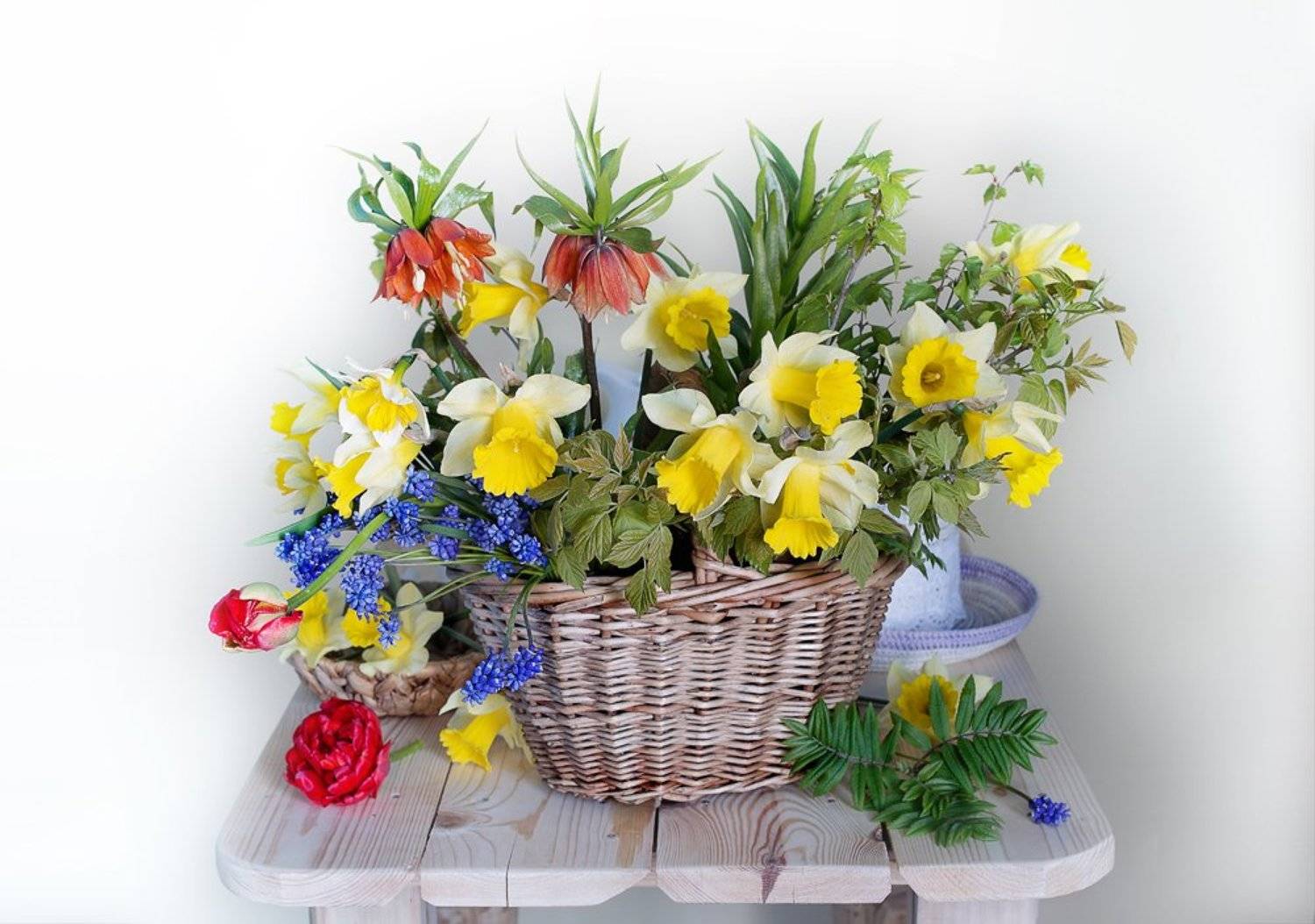 весна,весенний букет,натюрморт,, Вера  Павлухина