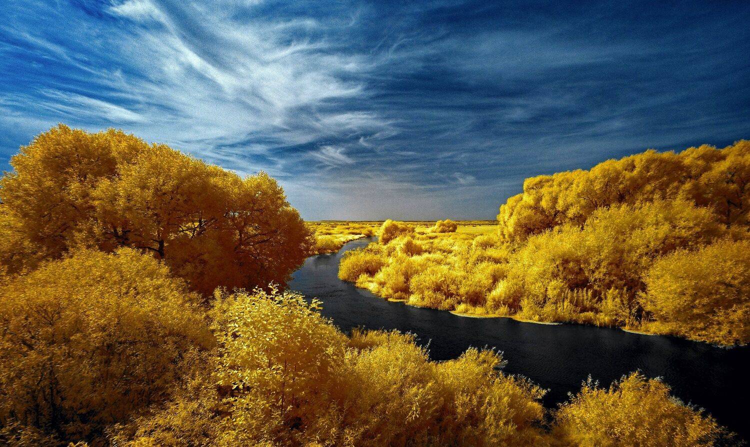 infrared,ик-фото,инфракрасное фото,инфракрасная фотография,пейзаж,природа,беларусь,лето, Sixten ( Сергей )