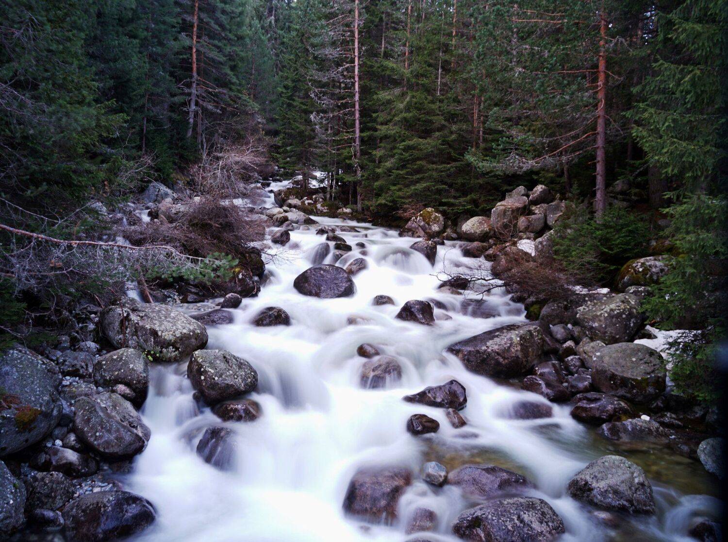 , Красимир Георгиев