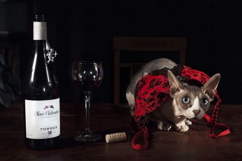After wineglass of wine