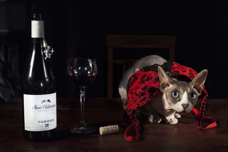 #love #kirillgolovan After wineglass of wine фото превью