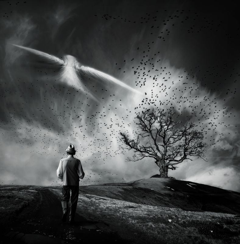 Lead me... фото превью