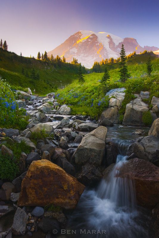 In God\'s Garden фото превью