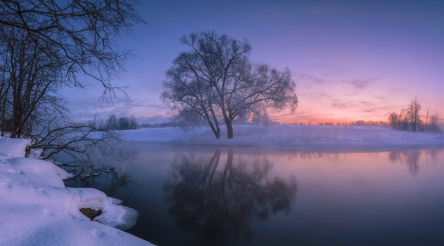 рассвет, утро, туман, мороз, природа, пейзаж, истра, река, небо, дерево, Виталий Левыкин