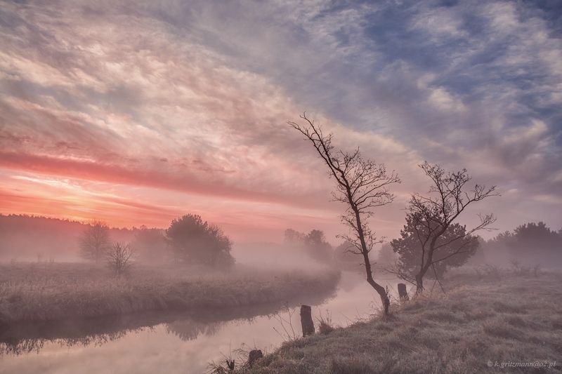 dawn фото превью