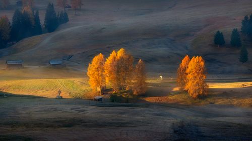 Под первыми лучами солнца