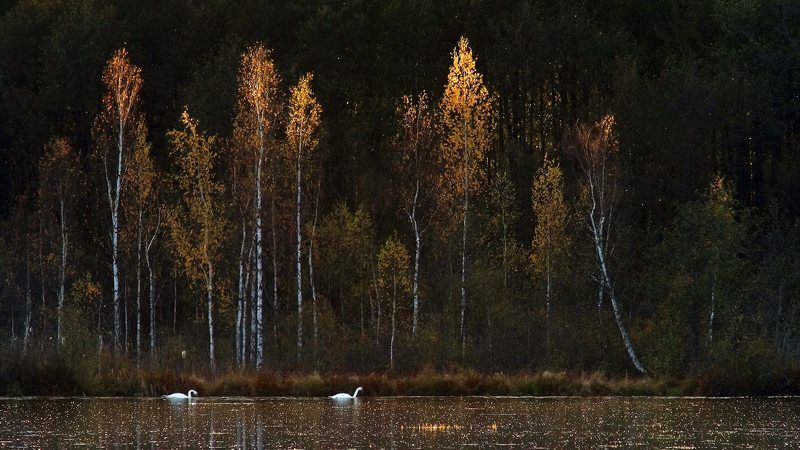 Одним осенним вечером. фото превью