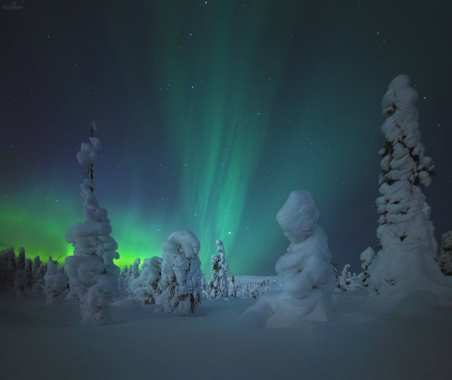 кандалакша, Попрошаев Сергей