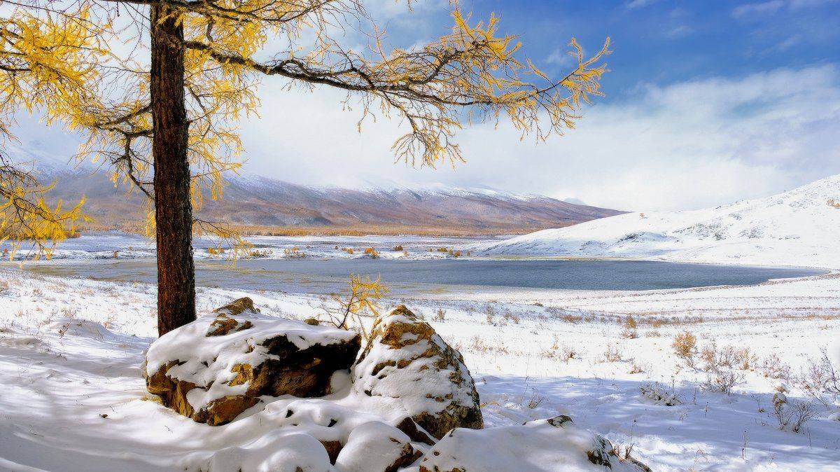 , Ольга Челдыкова