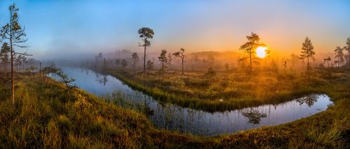 Жар солнце холод рассвета