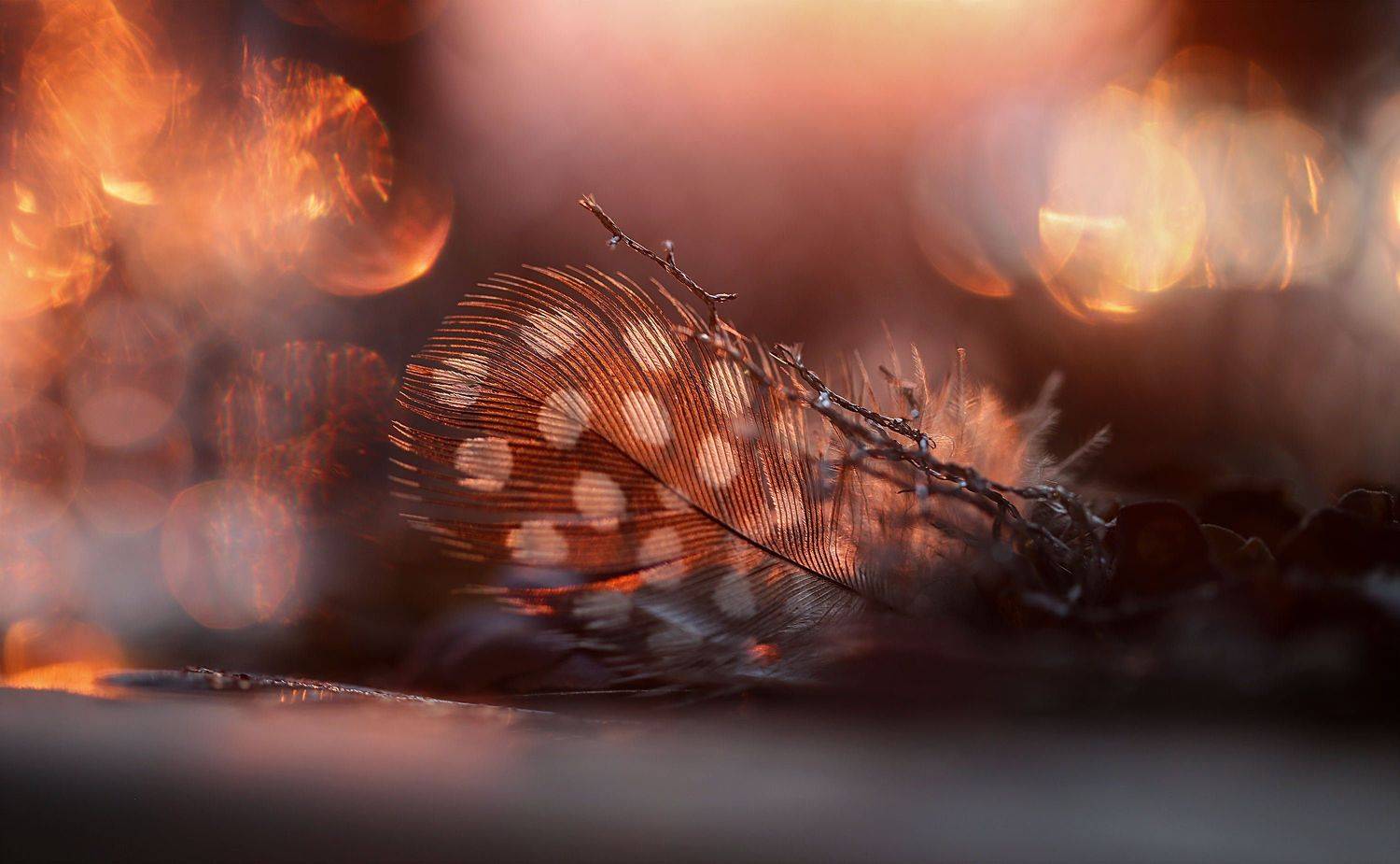 , Ирина Никеева