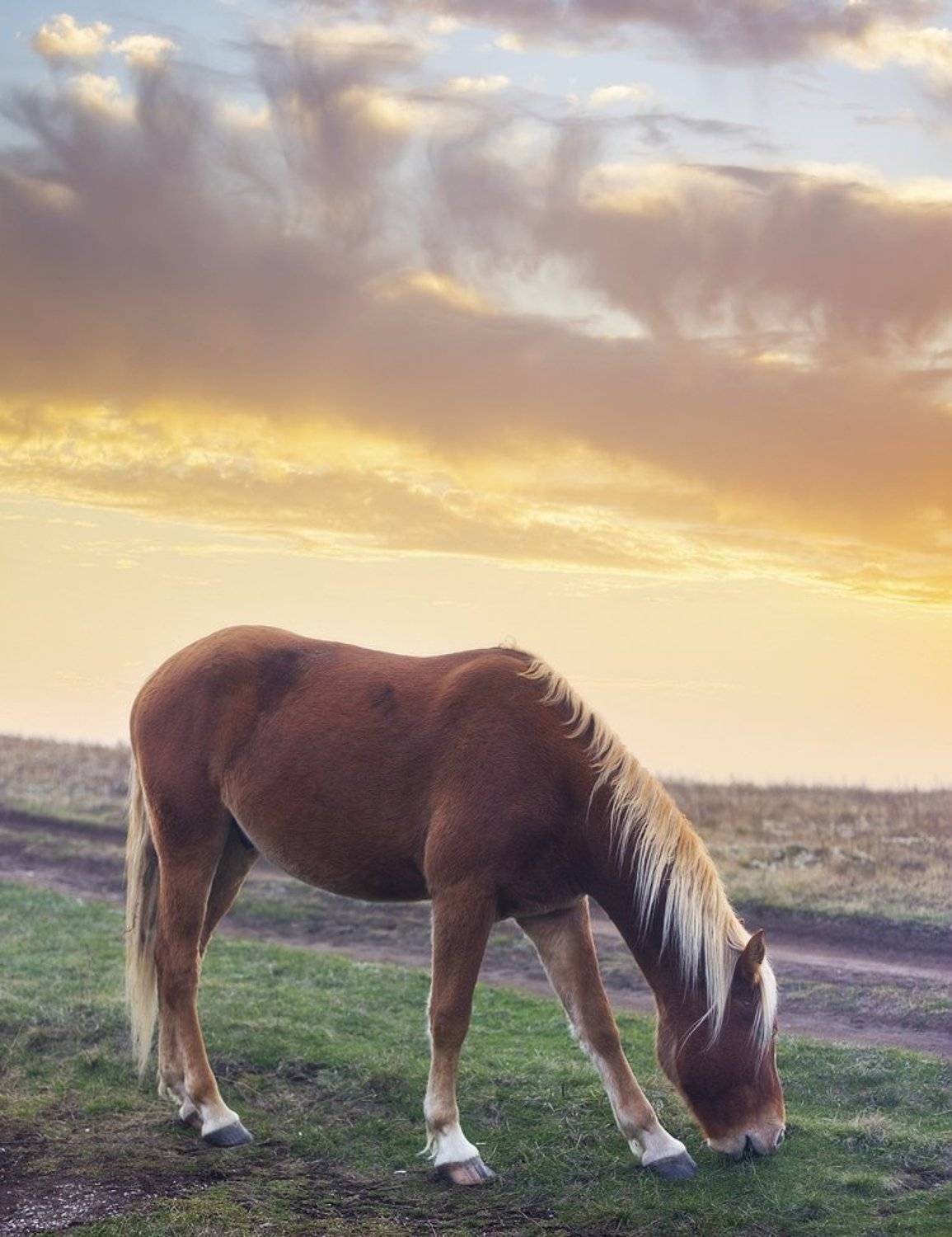 , Яна  Гайворонская