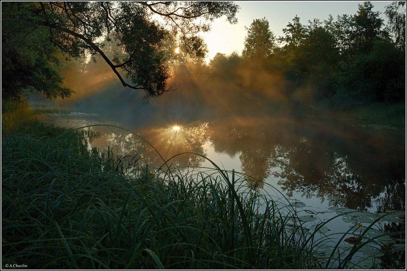 старица,река,жиздра,восход,июль Восход над старицей фото превью