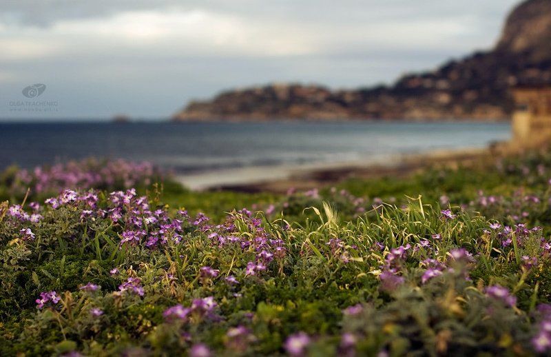 аспра, сицилия, пейзаж Миражи... фото превью