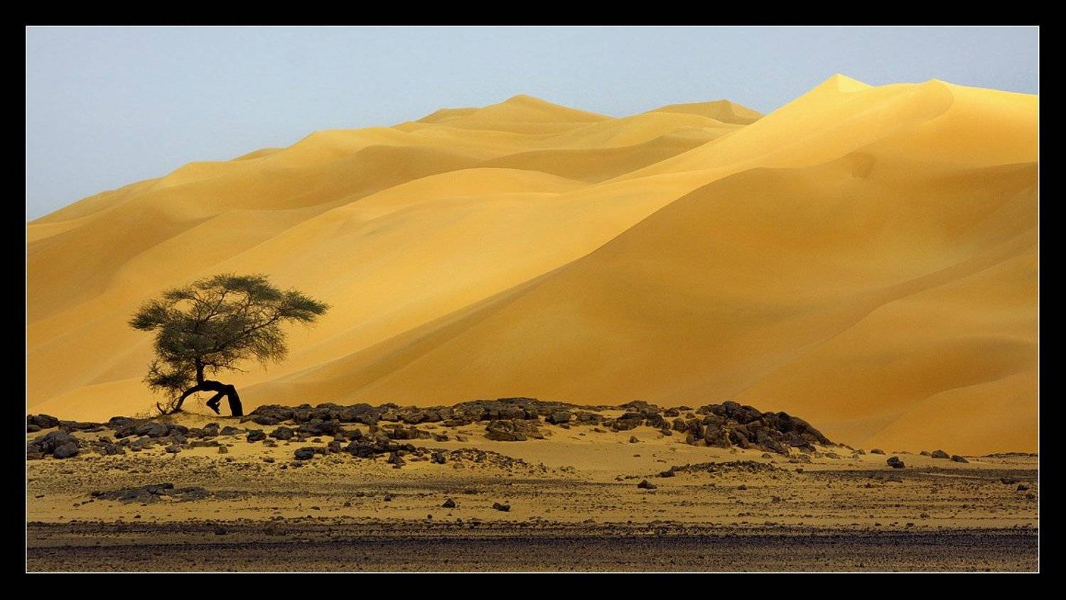 сахара, ливия, песок, дюны, африка, Виктория Роготнева