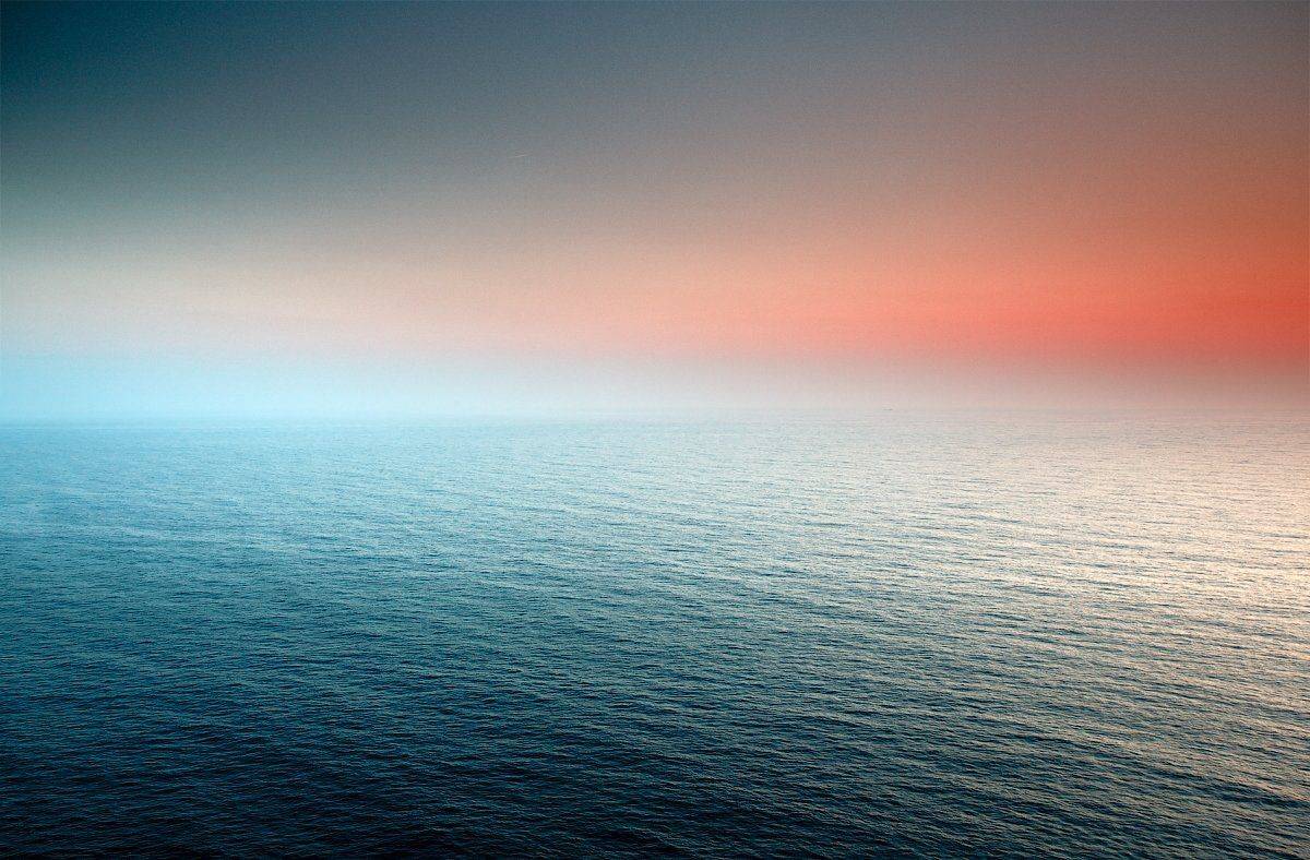 черногория, Alexander Martynov