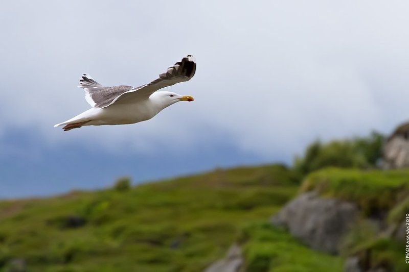 норвегия Над горами фото превью