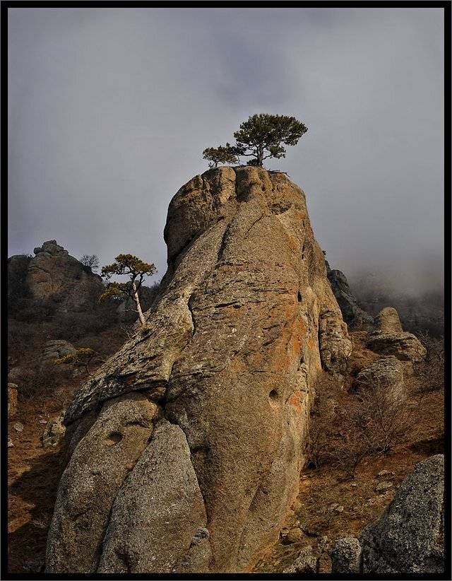 , Владимир Метцгер