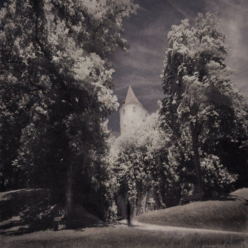 alone . фото превью