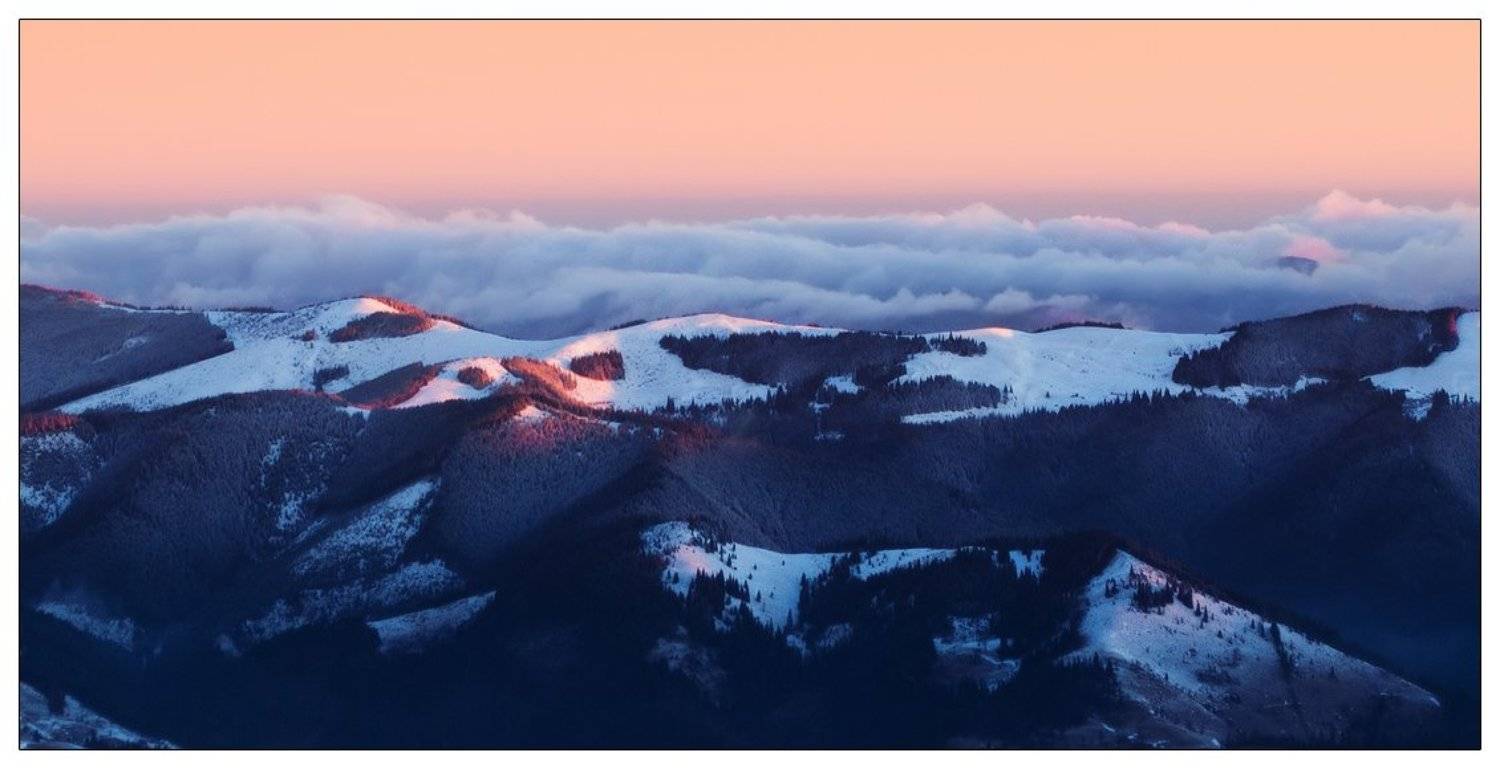 , Денис Кривой