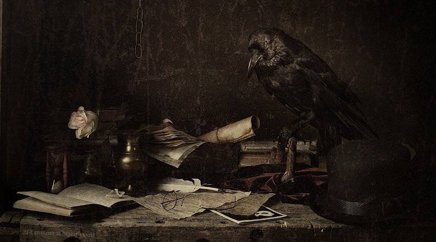 книга, натюрморт, ворона, Роман